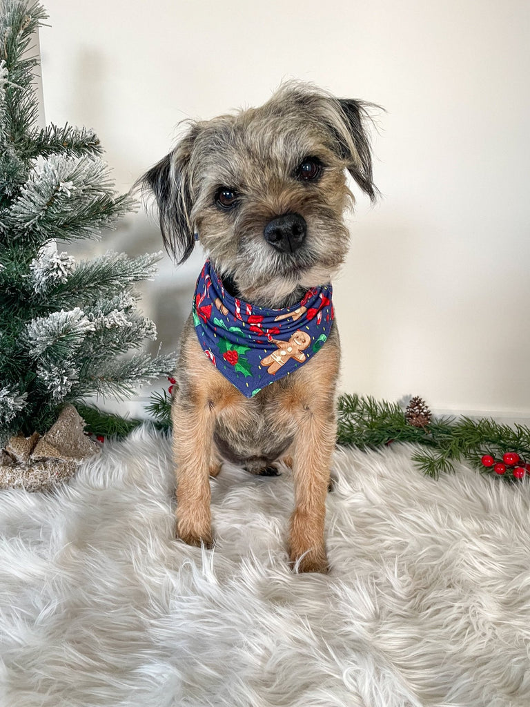 doggie christmas bandana